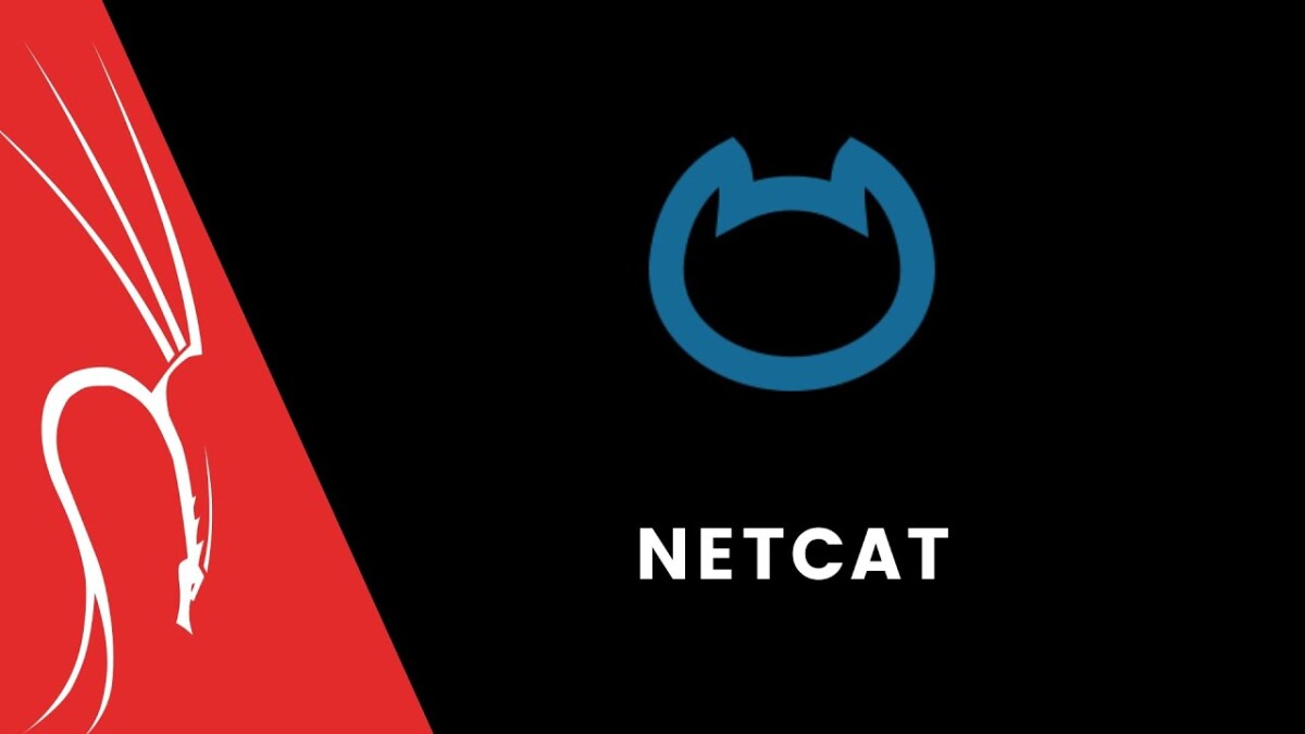 Преимущества и недостатки запуска сайта на NetCat