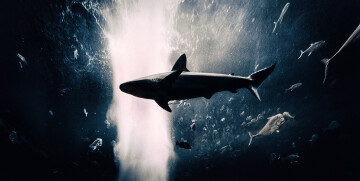 Что такое медиакит и как его составить