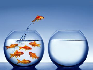 Яндекс.Клиенты: о новых возможностях георекламы