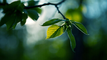 JivoSite. Эффективный инструмент для современного бизнеса