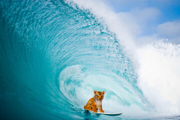 AmoCRM: что такое и зачем нужна бизнесу